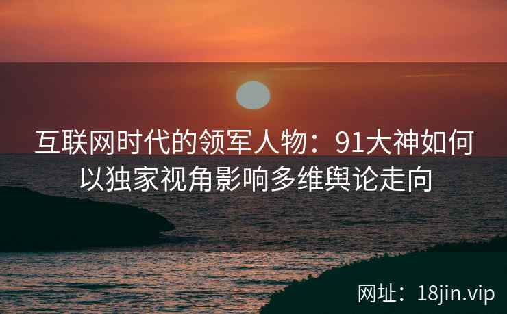 互联网时代的领军人物：91大神如何以独家视角影响多维舆论走向