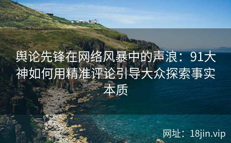 舆论先锋在网络风暴中的声浪：91大神如何用精准评论引导大众探索事实本质