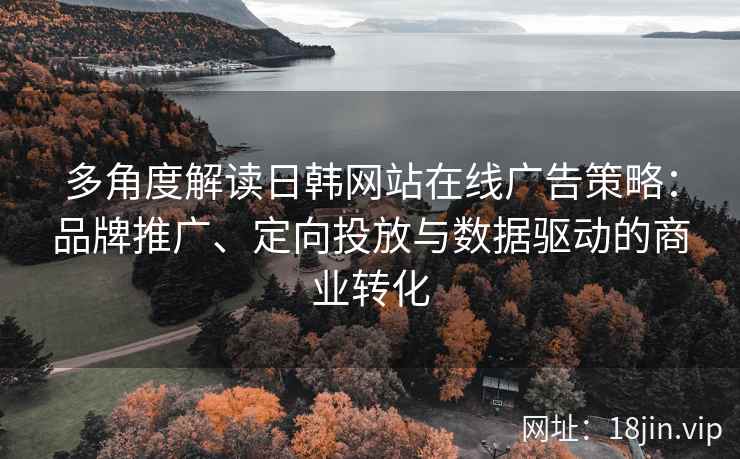 多角度解读日韩网站在线广告策略：品牌推广、定向投放与数据驱动的商业转化